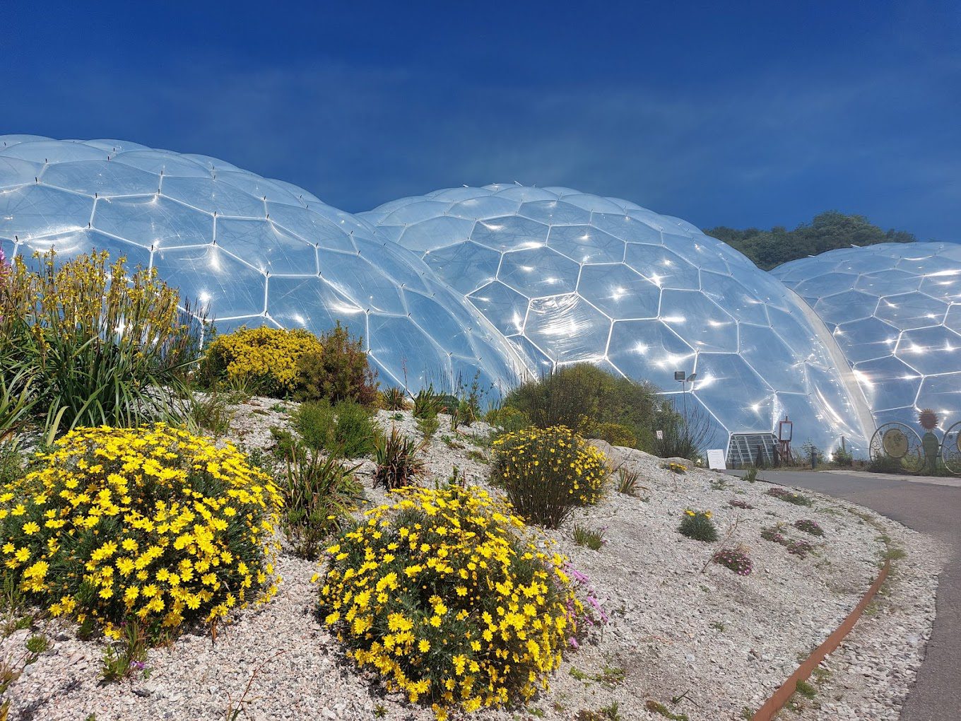 Eden Project